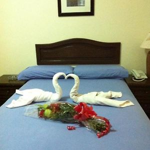 Standard Room with 1 Single Bed